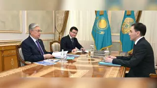 Токаев дал поручения главе Агентства по реформам