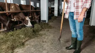 В каких сферах работают казахстанцы: статистика