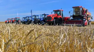 Токаев назвал Костанай житницей Казахстана