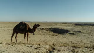 Токаев: Проблему дефицита воды не решить усилиями лишь одной страны