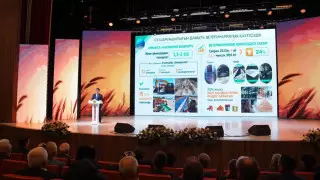 Туркестанская область занимает первое место по объему продукции в сельском хозяйстве