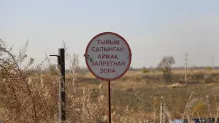 Захоронение сибирской язвы нашли в 15 метрах от дома в Уральске