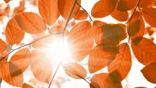 В Казахстан вернется тепло до 22 градусов