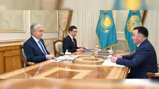 Токаев принял председателя Верховного суда