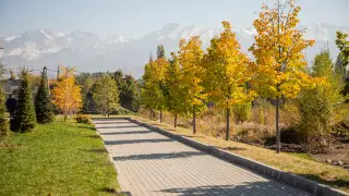 В Казахстане потеплеет до 24 градусов