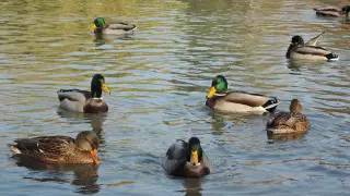 Снег и тепло до 25 градусов: погода в Казахстане на 16 ноября