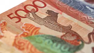 Старые 5-тысячные купюры хотят изъять из обращения в Казахстане