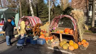 Крупная продуктовая ярмарка пройдет в воскресенье в Алматы