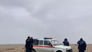 Поиски 7-летней девочки продолжаются: МЧС задействовали 320 человек