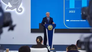 Шесть инвестиционных проектов в сфере АПК запустят в области Улытау