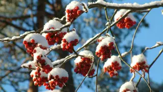 Ветер до 30 метров в секунду: погода в Казахстане на 22 ноября