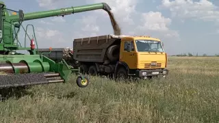 Как поддерживают акмолинских сельхозпроизводителей