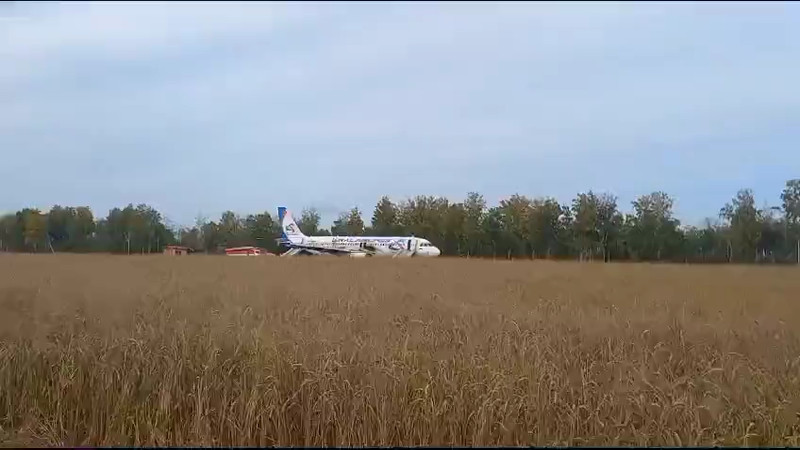 Кадры из видео t.me/zstproc