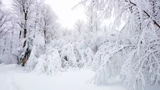 Очередной циклон принесет ледяной дождь и метели в Казахстан