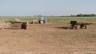 Сенатор об аграрной сфере: "20 лет одни реформы, а достижения лишь на бумаге"