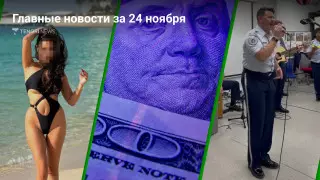 Главные новости 24 ноября за 5 минут