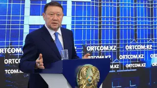 Новый завод по переработке железной руды построят в Костанайской области