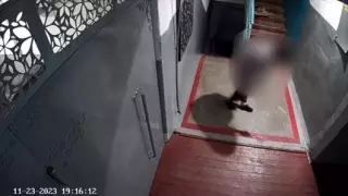 Жительница Павлодара облила кошку уксусной кислотой в подъезде и попала на видео