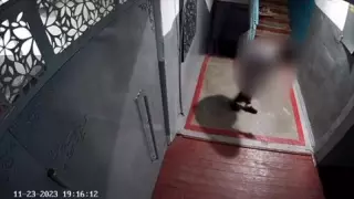 Установлена жительница Павлодара, которая облила кошку уксусом