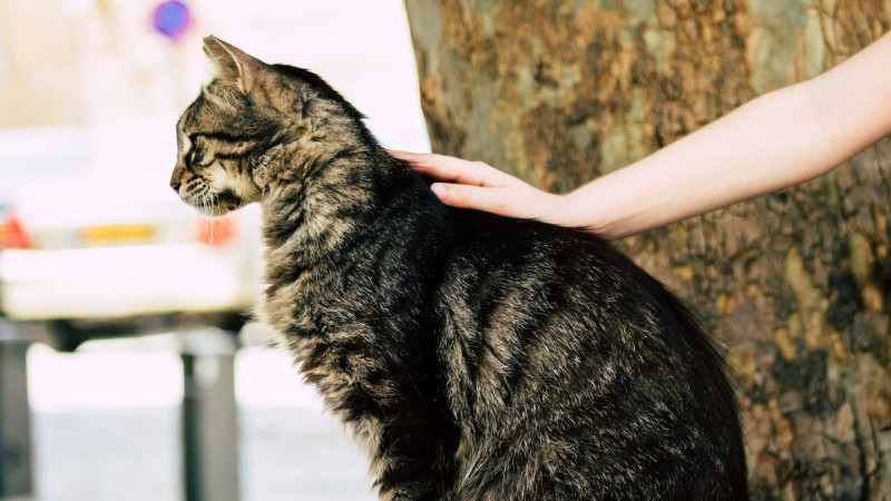 Фото:depositphotos.com