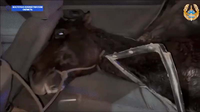 Кадры из видео