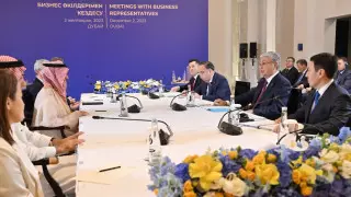 Токаев обсудил строительство ветроэлектростанции в области Жетысу с саудовским инвестором