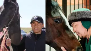 Асыл тұқымды жылқылар қартайғанда соғымға сойыла ма? Атбегілер түсіндірді