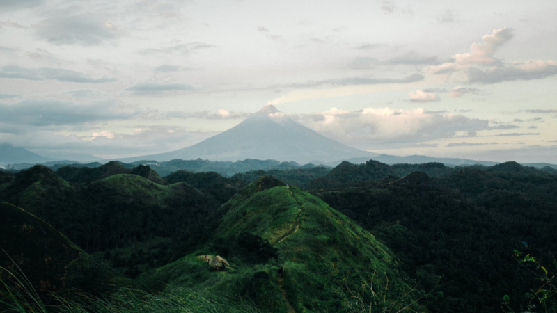 Фото: Pexels/Jeff Grab