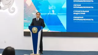 О ключевых аспектах развития Жамбылской области рассказал Ербол Карашукеев