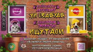 "Хвостатые таланты ищут дом": в Алматы и Астане прошла выставка животных