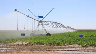 Аким Жамбылской области рассказал о развитии АПК в регионе