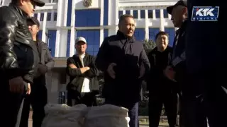 "Разве это кукуруза? Это трава!" – жамбылские фермеры привезли урожай к акимату