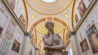 В Эрмитаже поймали необычного гостя, посещавшего музей по ночам