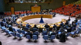 США наложили вето на проект резолюции ООН о прекращении огня в Газе