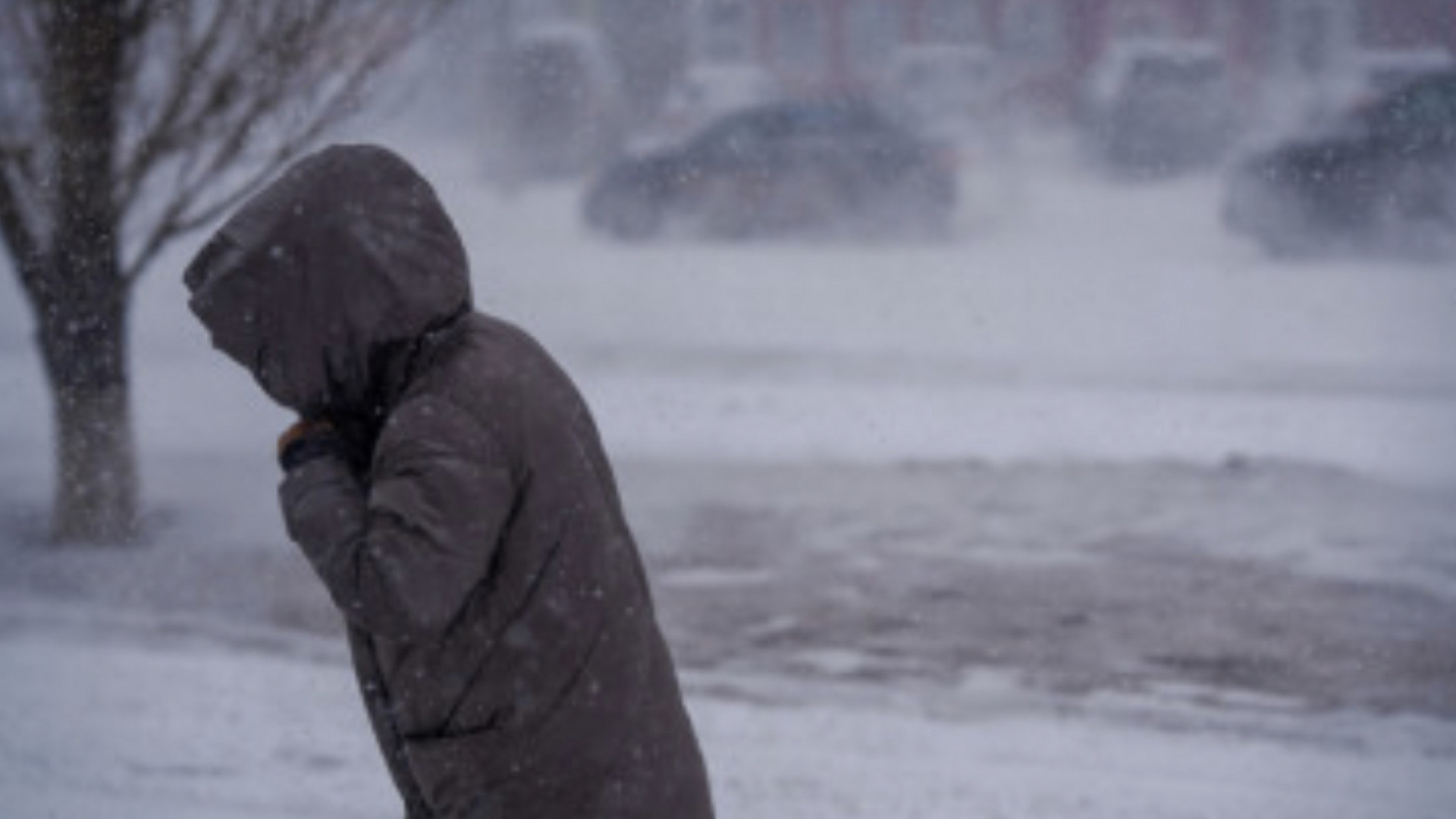 В каких регионах отменили занятия в школах из-за морозов