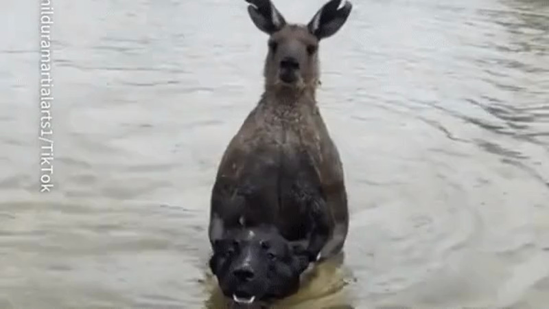 кадр из видео