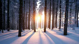 Сильные морозы и пыльные бури: погода в Казахстане на 13 декабря