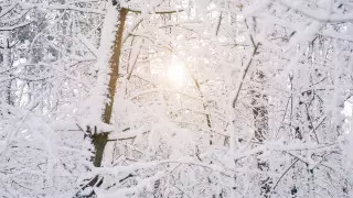 Когда ослабнут морозы в Казахстане