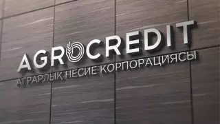 Аграрная Кредитная Корпорация: Наша главная цель – это повышение доступа кредитов в АПК