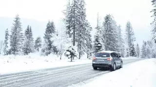 Участок международной трассы закрыли в Алматинской области