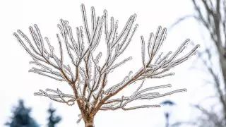 Ледяной дождь и метели: погода в Казахстане на 19 декабря