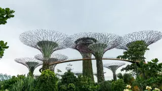 Сингапур снова вводит маски из-за COVID-19