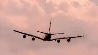 Для казахстанцев изменятся правила перевозки пассажиров и животных в самолетах