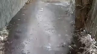 "Әкімдік 10 жыл бойы ұйықтап жатыр". Мирный саяжайының тұрғындары су астында қалды