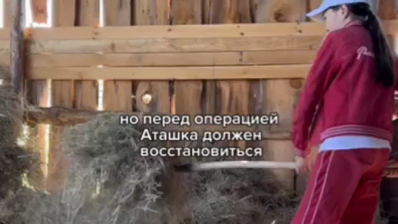 Кадры из видео