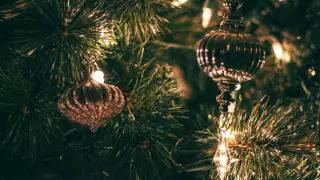 Какие болезни можно подхватить от живой новогодней елки, рассказал патофизиолог