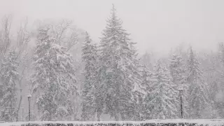 Какой будет погода в понедельник, 25 декабря, в Казахстане