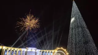 Главную новогоднюю елку зажгли в СКО