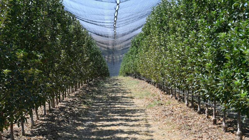 Фото: primeministr.kz