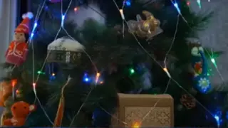 Год Дракона или Улитки? По-казахски встречают Новый год в Шымкенте